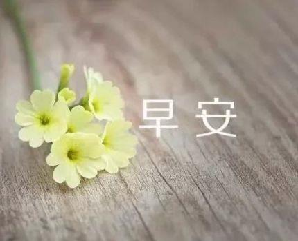 2025年经典人生感悟好句集锦89条