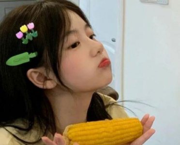 ​天神右翼经典句子88句