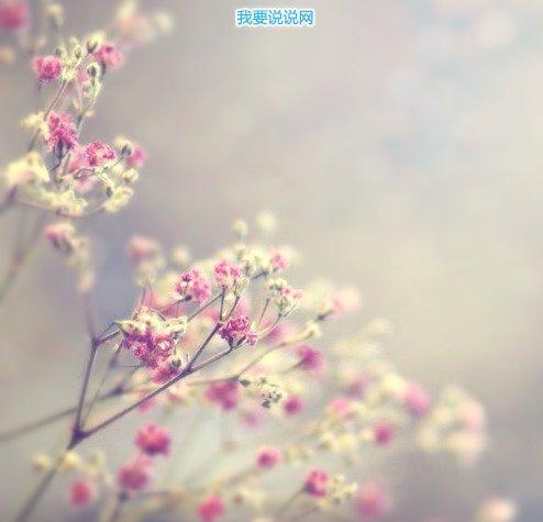 传播正能量孝敬的句子
