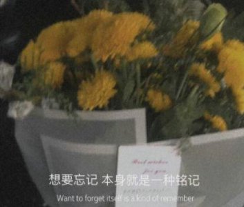 ​生日却伤心的句子
