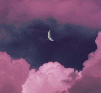​有爱情哲理的句子101句