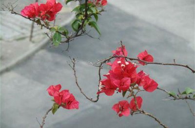 ​佛教经典句子善恶 人在做天在看(57句)