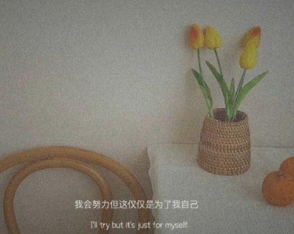 石康经典语录句子