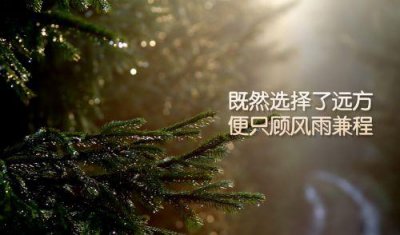 ​幸福如约而至的美句 关于如约而至的优美句子(67句)