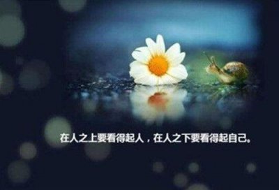 ​赞美小男孩的句子有哪些？(220句)