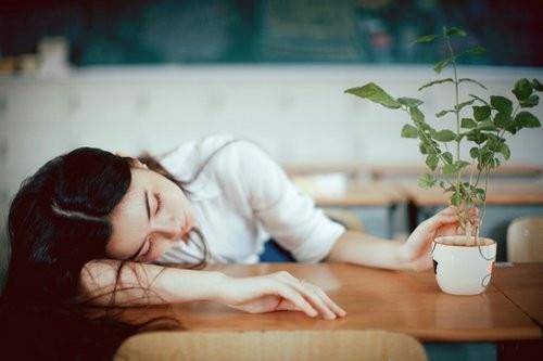 讽刺女人犯贱的句子