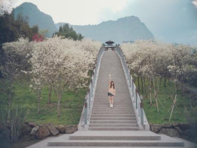 ​种菜收获满满的句子