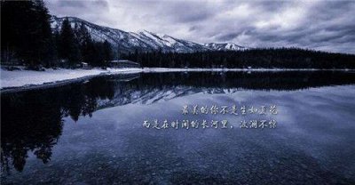 ​人生感悟语句摘录70条