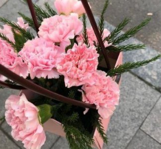 ​人生感悟语录54条