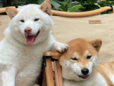 ​人生感悟语句摘录58条