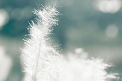 ​珍惜当下的人生感悟