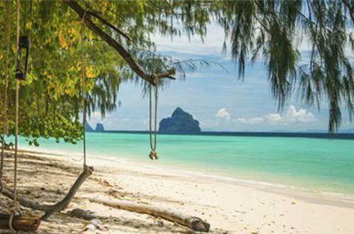 关于人生感悟的语句摘抄