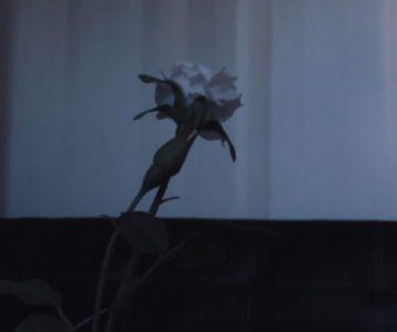 ​哲学人生感悟语句