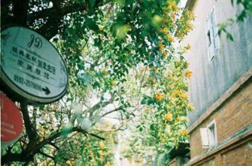 最温暖的早安人生感悟