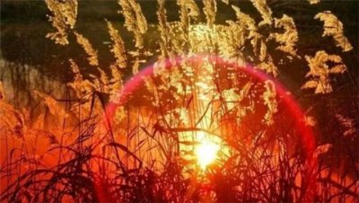 ​珍惜眼前人的句子