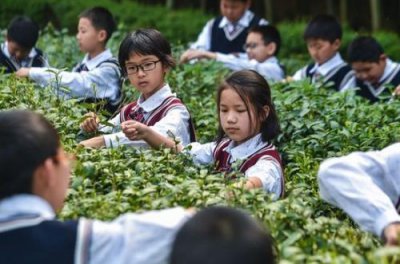 ​时光飞逝日月如梭 时光飞逝的优美句子(精选32句)