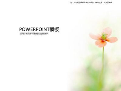 清新淡雅短句 关于淡雅的短语都有哪些?