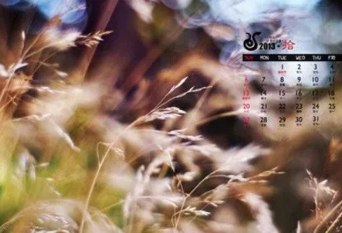 1710237953131823.png image.png