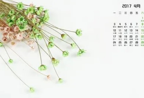 1710248126380917.png image.png