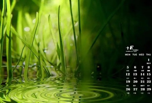 1710265635487894.png image.png