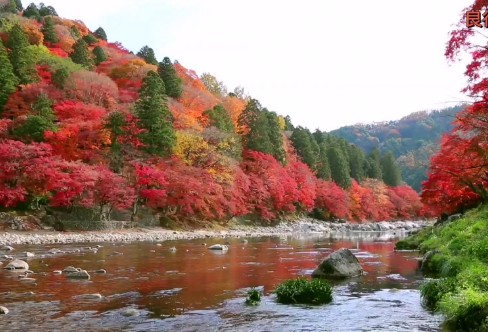 1710301481607823.png image.png