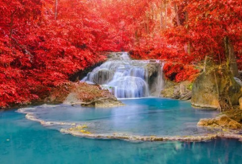 1710326559900224.png image.png