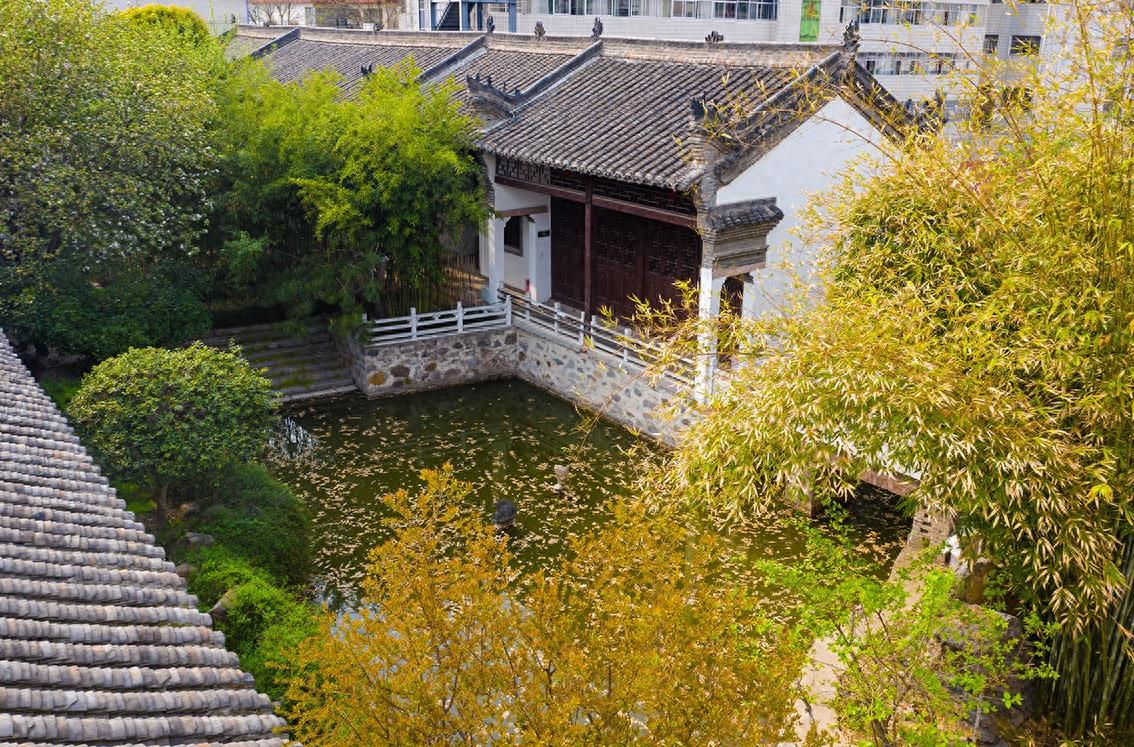 北京中南海西花厅的海棠树在邓颖超祖居开花了,她原来是光山人呀