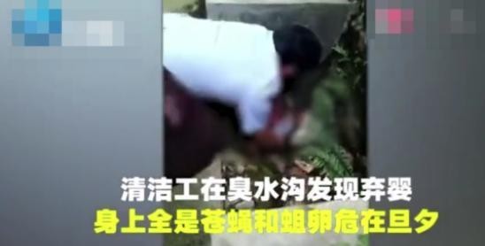 清洁工在臭水沟发现弃婴,身上爬满苍蝇和蛆卵