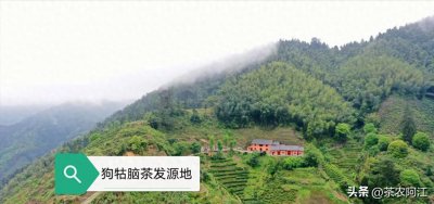 ​江西狗牯脑究竟是怎么来的，众说纷纭
