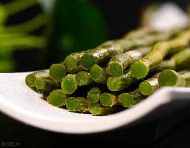 ​提升铁皮石斛盆栽成功率的关键：正确的土壤选择与种植方法！