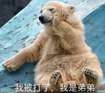 ​超级合集：100张萌宠表情包，你们不点进来看看？
