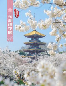 ​武汉十大赏樱地发布