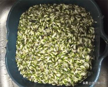 ​同事给的槐花，已做成槐花鸡蛋饼了