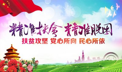 ​一日一词：高考必备词汇 promote