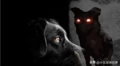 ​幽灵犬传说：几个与黑狗有关的诡异传说