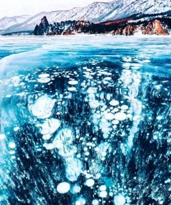​贝加尔湖明明是淡水湖，远离海洋2000多公里，为什么有海洋生物？