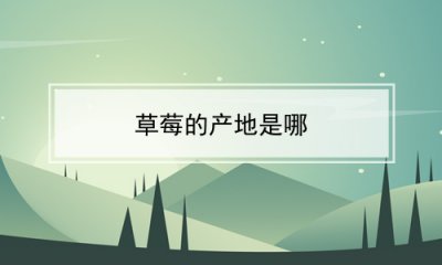 ​草莓的产地是哪
