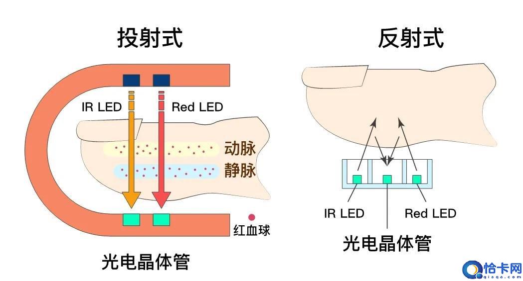 血氧检测仪怎么看数值(5个使用血氧仪的小技巧)