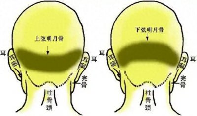 ​【一】一看就会！24种“骨相”图文详解，一眼识破你的命运走向