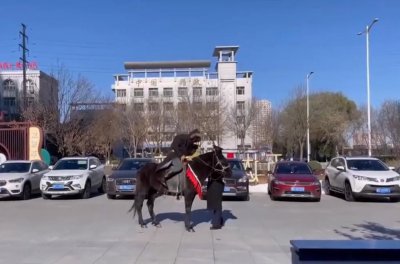 ​豪横！内蒙古一大哥骑马拎一麻袋现金买房，五六名销售现场数钱