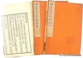 中国农业百科全书(中国古代农业百科全书指的哪本书)
