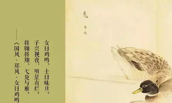 四书五经指的是什么书,四书五经指什么书?图7