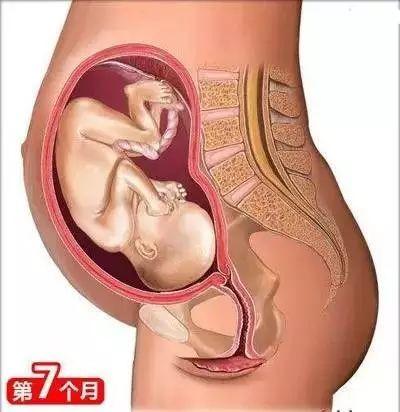 怀孕常识必备大全(26个从怀孕到生娃的母婴常识)(8)