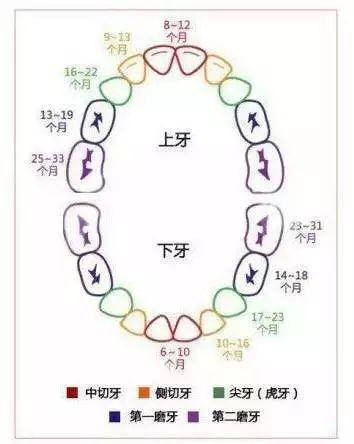 怀孕常识必备大全(26个从怀孕到生娃的母婴常识)(15)