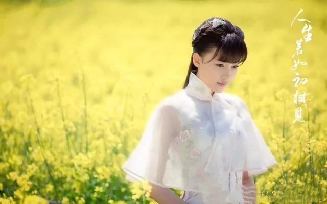 人生若只如初见随笔散文(人生若如初相见)(7)