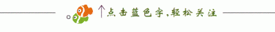 ​人生若只如初见随笔散文（人生若如初相见）