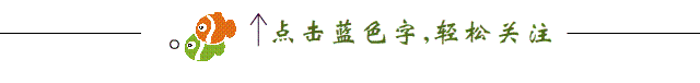 人生若只如初见随笔散文(人生若如初相见)(1)