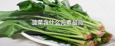 ​菠菜含什么元素最高