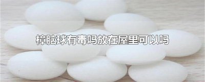 ​樟脑球有毒吗放在屋里可以吗