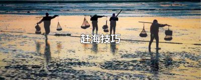​赶海技巧